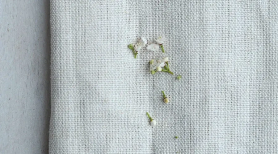 Linen made-to-measure curtains