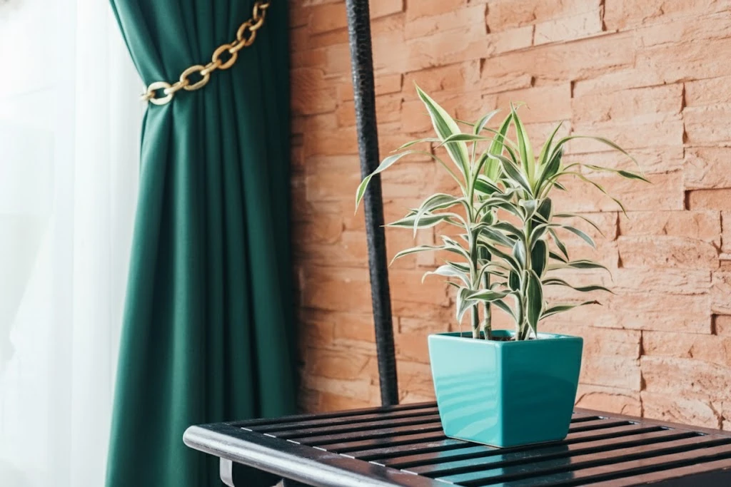 Eco Friendly Curtains