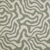 Fern